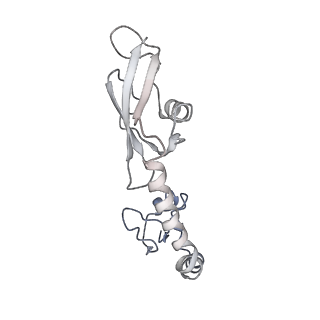 21620_6wd1_g_v1-2
Cryo-EM of elongating ribosome with EF-Tu*GTP elucidates tRNA proofreading (Cognate Structure I-B)