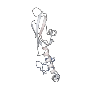 21620_6wd1_g_v1-3
Cryo-EM of elongating ribosome with EF-Tu*GTP elucidates tRNA proofreading (Cognate Structure I-B)