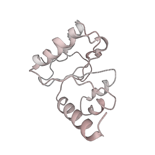 21620_6wd1_h_v1-2
Cryo-EM of elongating ribosome with EF-Tu*GTP elucidates tRNA proofreading (Cognate Structure I-B)