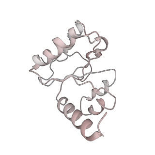 21620_6wd1_h_v1-3
Cryo-EM of elongating ribosome with EF-Tu*GTP elucidates tRNA proofreading (Cognate Structure I-B)