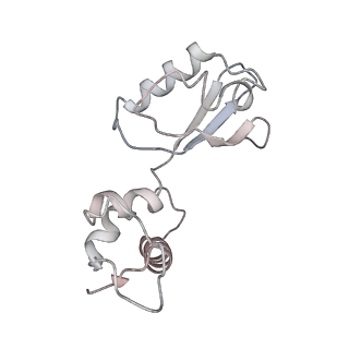 21620_6wd1_i_v1-2
Cryo-EM of elongating ribosome with EF-Tu*GTP elucidates tRNA proofreading (Cognate Structure I-B)