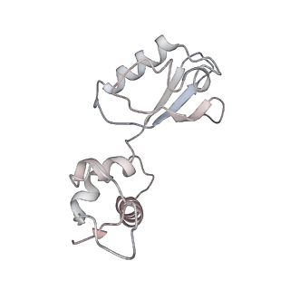 21620_6wd1_i_v1-3
Cryo-EM of elongating ribosome with EF-Tu*GTP elucidates tRNA proofreading (Cognate Structure I-B)