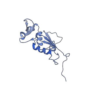 21620_6wd1_j_v1-2
Cryo-EM of elongating ribosome with EF-Tu*GTP elucidates tRNA proofreading (Cognate Structure I-B)