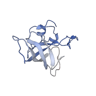 21620_6wd1_k_v1-2
Cryo-EM of elongating ribosome with EF-Tu*GTP elucidates tRNA proofreading (Cognate Structure I-B)