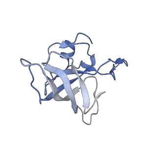 21620_6wd1_k_v1-3
Cryo-EM of elongating ribosome with EF-Tu*GTP elucidates tRNA proofreading (Cognate Structure I-B)