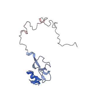 21620_6wd1_l_v1-2
Cryo-EM of elongating ribosome with EF-Tu*GTP elucidates tRNA proofreading (Cognate Structure I-B)
