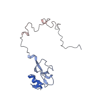 21620_6wd1_l_v1-3
Cryo-EM of elongating ribosome with EF-Tu*GTP elucidates tRNA proofreading (Cognate Structure I-B)