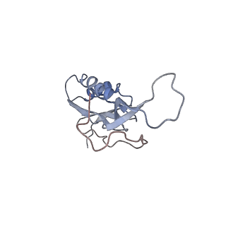 21620_6wd1_m_v1-2
Cryo-EM of elongating ribosome with EF-Tu*GTP elucidates tRNA proofreading (Cognate Structure I-B)