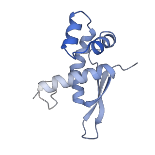 21620_6wd1_n_v1-2
Cryo-EM of elongating ribosome with EF-Tu*GTP elucidates tRNA proofreading (Cognate Structure I-B)