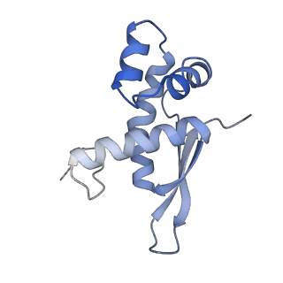 21620_6wd1_n_v1-3
Cryo-EM of elongating ribosome with EF-Tu*GTP elucidates tRNA proofreading (Cognate Structure I-B)