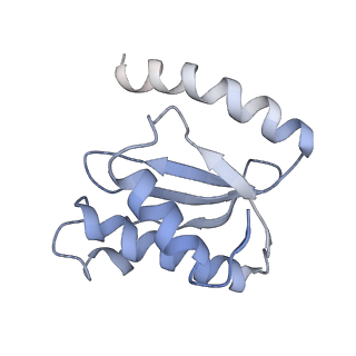 21620_6wd1_o_v1-2
Cryo-EM of elongating ribosome with EF-Tu*GTP elucidates tRNA proofreading (Cognate Structure I-B)