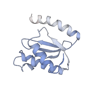 21620_6wd1_o_v1-3
Cryo-EM of elongating ribosome with EF-Tu*GTP elucidates tRNA proofreading (Cognate Structure I-B)