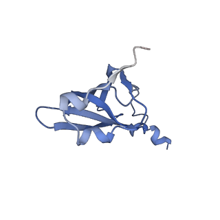 21620_6wd1_p_v1-2
Cryo-EM of elongating ribosome with EF-Tu*GTP elucidates tRNA proofreading (Cognate Structure I-B)