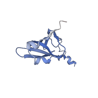 21620_6wd1_p_v1-3
Cryo-EM of elongating ribosome with EF-Tu*GTP elucidates tRNA proofreading (Cognate Structure I-B)