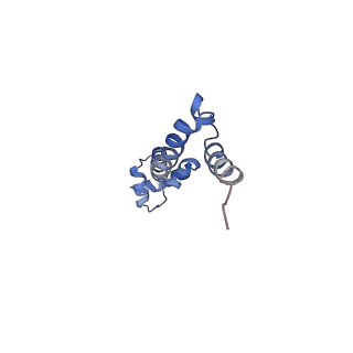 21620_6wd1_q_v1-2
Cryo-EM of elongating ribosome with EF-Tu*GTP elucidates tRNA proofreading (Cognate Structure I-B)