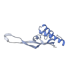 21620_6wd1_s_v1-2
Cryo-EM of elongating ribosome with EF-Tu*GTP elucidates tRNA proofreading (Cognate Structure I-B)