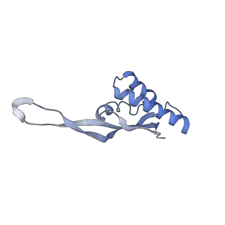 21620_6wd1_s_v1-3
Cryo-EM of elongating ribosome with EF-Tu*GTP elucidates tRNA proofreading (Cognate Structure I-B)