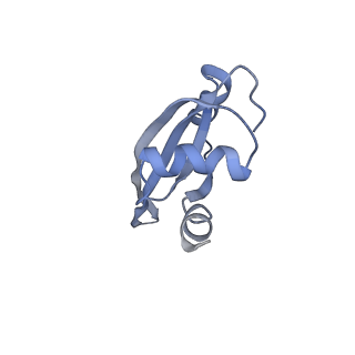 21620_6wd1_t_v1-2
Cryo-EM of elongating ribosome with EF-Tu*GTP elucidates tRNA proofreading (Cognate Structure I-B)