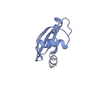 21620_6wd1_t_v1-3
Cryo-EM of elongating ribosome with EF-Tu*GTP elucidates tRNA proofreading (Cognate Structure I-B)