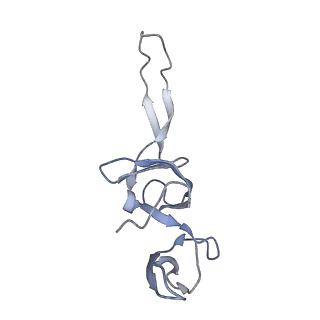 21620_6wd1_u_v1-2
Cryo-EM of elongating ribosome with EF-Tu*GTP elucidates tRNA proofreading (Cognate Structure I-B)