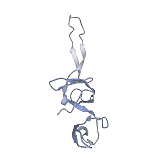 21620_6wd1_u_v1-3
Cryo-EM of elongating ribosome with EF-Tu*GTP elucidates tRNA proofreading (Cognate Structure I-B)