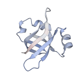 21620_6wd1_v_v1-2
Cryo-EM of elongating ribosome with EF-Tu*GTP elucidates tRNA proofreading (Cognate Structure I-B)