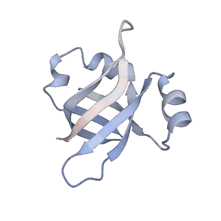 21620_6wd1_v_v1-3
Cryo-EM of elongating ribosome with EF-Tu*GTP elucidates tRNA proofreading (Cognate Structure I-B)