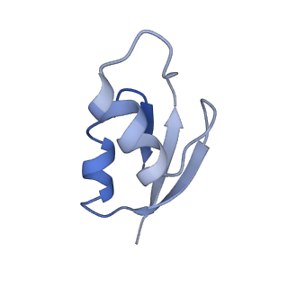 21620_6wd1_z_v1-2
Cryo-EM of elongating ribosome with EF-Tu*GTP elucidates tRNA proofreading (Cognate Structure I-B)