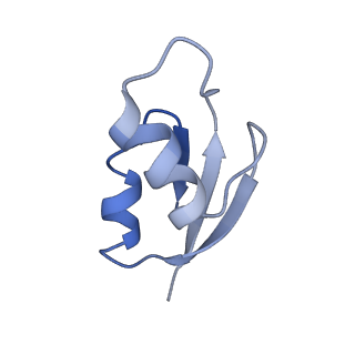 21620_6wd1_z_v1-3
Cryo-EM of elongating ribosome with EF-Tu*GTP elucidates tRNA proofreading (Cognate Structure I-B)