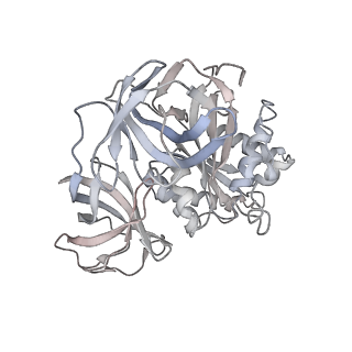 21621_6wd2_8_v1-2
Cryo-EM of elongating ribosome with EF-Tu*GTP elucidates tRNA proofreading (Cognate Structure II-A)