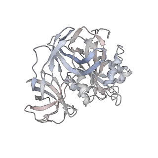 21621_6wd2_8_v1-3
Cryo-EM of elongating ribosome with EF-Tu*GTP elucidates tRNA proofreading (Cognate Structure II-A)