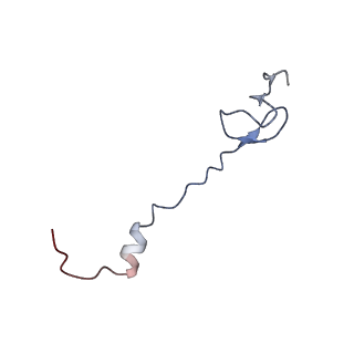 21621_6wd2_B_v1-2
Cryo-EM of elongating ribosome with EF-Tu*GTP elucidates tRNA proofreading (Cognate Structure II-A)