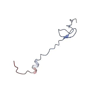 21621_6wd2_B_v1-3
Cryo-EM of elongating ribosome with EF-Tu*GTP elucidates tRNA proofreading (Cognate Structure II-A)