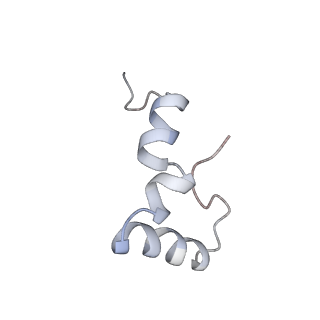 21621_6wd2_D_v1-2
Cryo-EM of elongating ribosome with EF-Tu*GTP elucidates tRNA proofreading (Cognate Structure II-A)