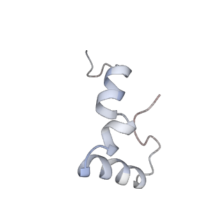 21621_6wd2_D_v1-3
Cryo-EM of elongating ribosome with EF-Tu*GTP elucidates tRNA proofreading (Cognate Structure II-A)