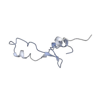 21621_6wd2_E_v1-3
Cryo-EM of elongating ribosome with EF-Tu*GTP elucidates tRNA proofreading (Cognate Structure II-A)