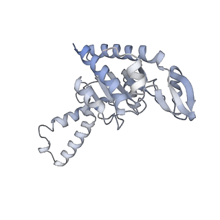 21621_6wd2_G_v1-2
Cryo-EM of elongating ribosome with EF-Tu*GTP elucidates tRNA proofreading (Cognate Structure II-A)