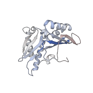 21621_6wd2_H_v1-2
Cryo-EM of elongating ribosome with EF-Tu*GTP elucidates tRNA proofreading (Cognate Structure II-A)