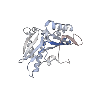 21621_6wd2_H_v1-3
Cryo-EM of elongating ribosome with EF-Tu*GTP elucidates tRNA proofreading (Cognate Structure II-A)