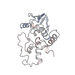 21621_6wd2_I_v1-2
Cryo-EM of elongating ribosome with EF-Tu*GTP elucidates tRNA proofreading (Cognate Structure II-A)