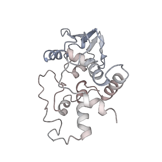 21621_6wd2_I_v1-3
Cryo-EM of elongating ribosome with EF-Tu*GTP elucidates tRNA proofreading (Cognate Structure II-A)