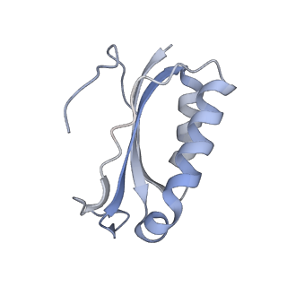 21621_6wd2_K_v1-2
Cryo-EM of elongating ribosome with EF-Tu*GTP elucidates tRNA proofreading (Cognate Structure II-A)