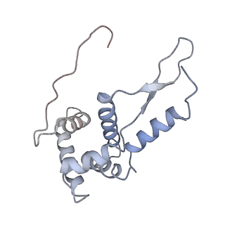 21621_6wd2_L_v1-2
Cryo-EM of elongating ribosome with EF-Tu*GTP elucidates tRNA proofreading (Cognate Structure II-A)
