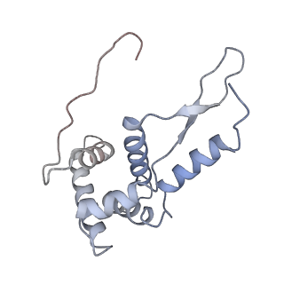 21621_6wd2_L_v1-3
Cryo-EM of elongating ribosome with EF-Tu*GTP elucidates tRNA proofreading (Cognate Structure II-A)