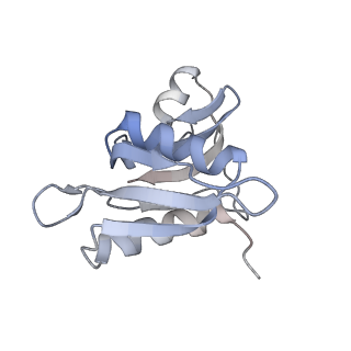 21621_6wd2_M_v1-2
Cryo-EM of elongating ribosome with EF-Tu*GTP elucidates tRNA proofreading (Cognate Structure II-A)