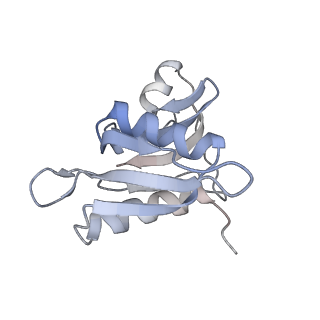21621_6wd2_M_v1-3
Cryo-EM of elongating ribosome with EF-Tu*GTP elucidates tRNA proofreading (Cognate Structure II-A)