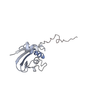 21621_6wd2_N_v1-3
Cryo-EM of elongating ribosome with EF-Tu*GTP elucidates tRNA proofreading (Cognate Structure II-A)