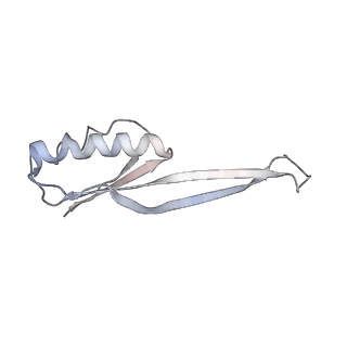 21621_6wd2_O_v1-3
Cryo-EM of elongating ribosome with EF-Tu*GTP elucidates tRNA proofreading (Cognate Structure II-A)