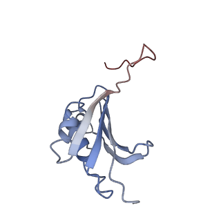 21621_6wd2_P_v1-2
Cryo-EM of elongating ribosome with EF-Tu*GTP elucidates tRNA proofreading (Cognate Structure II-A)
