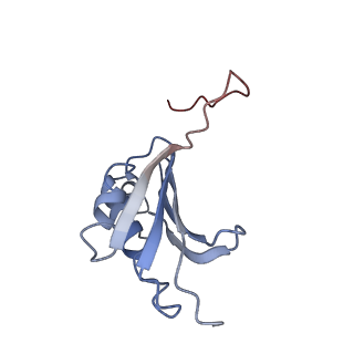 21621_6wd2_P_v1-3
Cryo-EM of elongating ribosome with EF-Tu*GTP elucidates tRNA proofreading (Cognate Structure II-A)